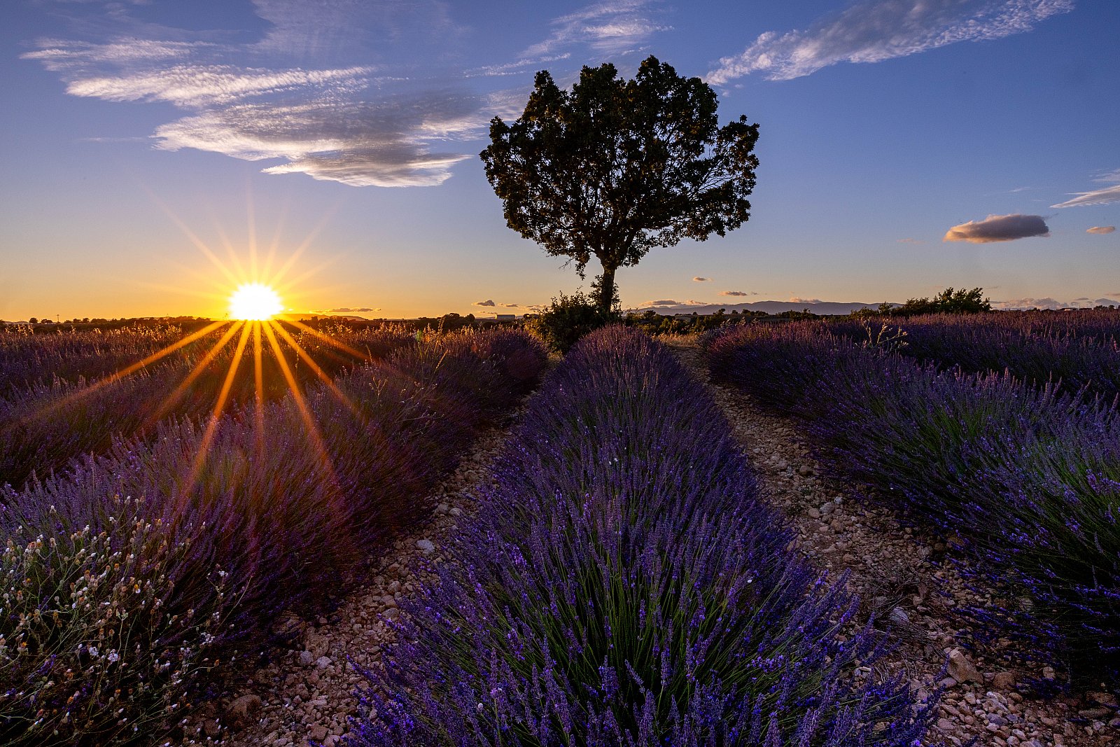 Provence 2024