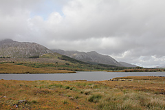 Connemara