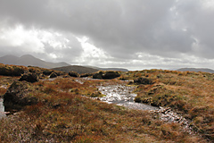 Connemara National Park