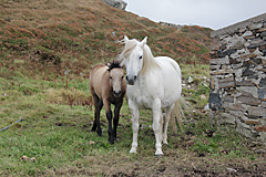 Sky Road, Clifden