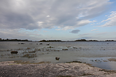 Ard, Loch Corrib