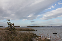 Ard, Loch Corrib