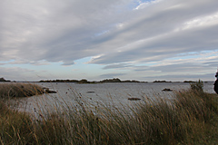 Ard, Loch Corrib