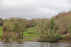 Menlo Castle, Galway