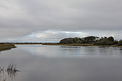 Corrib River, Galway