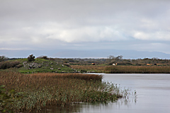 Corrib River, Galway