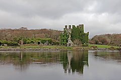 Menlo Castle, Galway