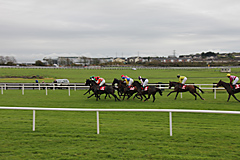 Galway Horse Races