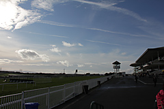 Galway Horse Races