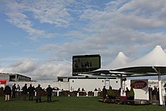 Galway Horse Races