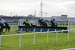 Galway Horse Races