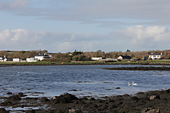 Oranmore