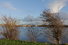 Lough Atalia, Galway