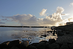 Lough Atalia, Galway