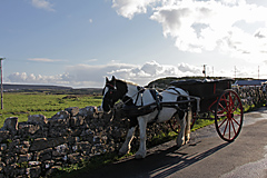 Inis Mór, Aran Islands