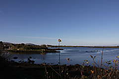 Dunguaire Castle, Kinvara, The Burren