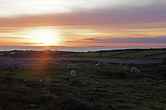 The Burren