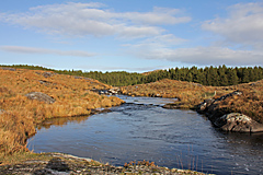 Screeb Wasserfall, Connemara