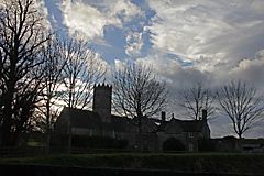 Adare